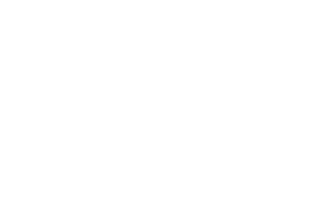 National Opera House Wexford